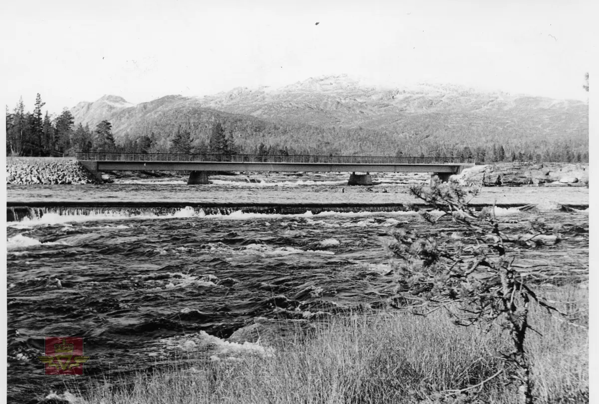 Berdal bru er ei vegbru med lengde på 63, 52 meter.
Bjelkebru, valsede bjelker, oppført 1962 nord for gamle Berdal bru som ble sprengt i 1940 under 2. verdenskrig. 

Kilde: Statens vegvesen sitt bruregister "Brutus."