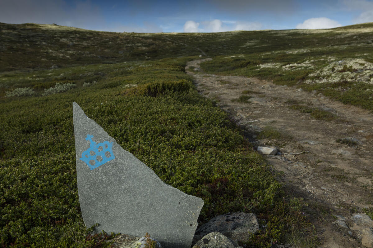 Kongevegen ved Hardbakken. Gammel vei i fjellandskap.