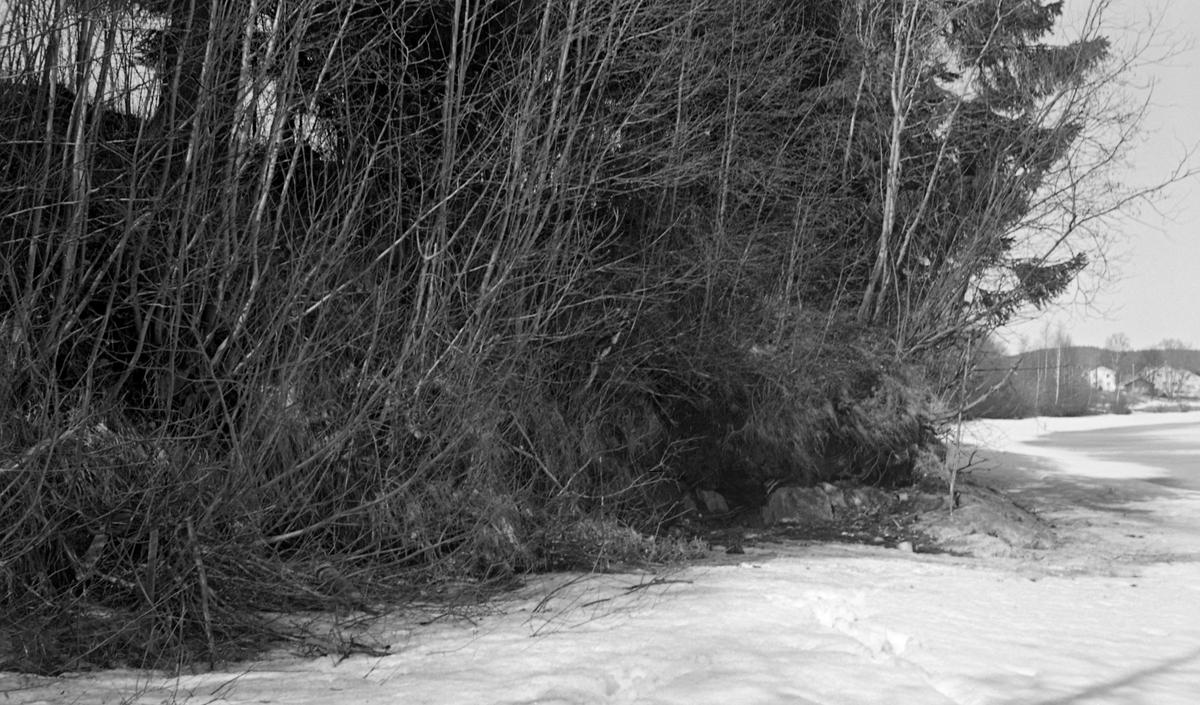 Vegetasjon i elvekråningen mellom Korsmoenga og Oppstadåa i Sør-Odal, Hedmark. Fotografiet ble tatt i 1962, da Glomma fellesfløtingsforening planla å bygge såkalt «barkeplass» på dette stedet. En barkeplass var en oppsamlingsterminal for tømmer som ble hentet langs skogsbilvegene og skulle barkes før det kunne fløtes videre nedover langs Glommavasssdraget. Fellesfløtingsforeningen uttrykte interesse for denne lokaliteten alt tidlig i 1960-åra, men ettersom det prosjekterte terminalområdet bak den trebevokste elveskråningen var dyrket mark, møtte planen motstand fra jordbrukets organer. Det var først etter anke til Landbruksdepartementet at Glomma fellesfløtingsforening fikk aksept for å realisere planene om en slik terminalplass på Korsmo Forholdene ved stedet der Korsmoenga utislagsplass plass ble bygget. Et av kriteriene for at løyvet ble gitt var at fløtingsforeningen skulle styrke elveskråningen ved utislagspunktene, som ville bli trafikkert av tunge anleggsmaskiner med betydelige mengder tømmer i gripekloa.

Anlegget av slike terminalplasser må ses i sammenheng med den raske mekaniseringa som skjedde i skogbruket etter 2. verdenskrig. Det ble bygd veger i utmarka, slik at tømmeret kunne hentes der med lastebiler i stedet for å bli framkjørt til vassdrag med hest og slede. Samtidig var skogbrukets rasjonaliseringsekspertise opptatt av barkeprosessen, som på kalde vinterdager tok mye tid og var en fysisk påkjenning på skogsarbeiderne. Løsningen ble å hente tømmeret med lastebiler og barke det ved hjelp av motoriserte ringbarkemaskiner på terminalplasser, som den som var planlagt på Korsmoenga.