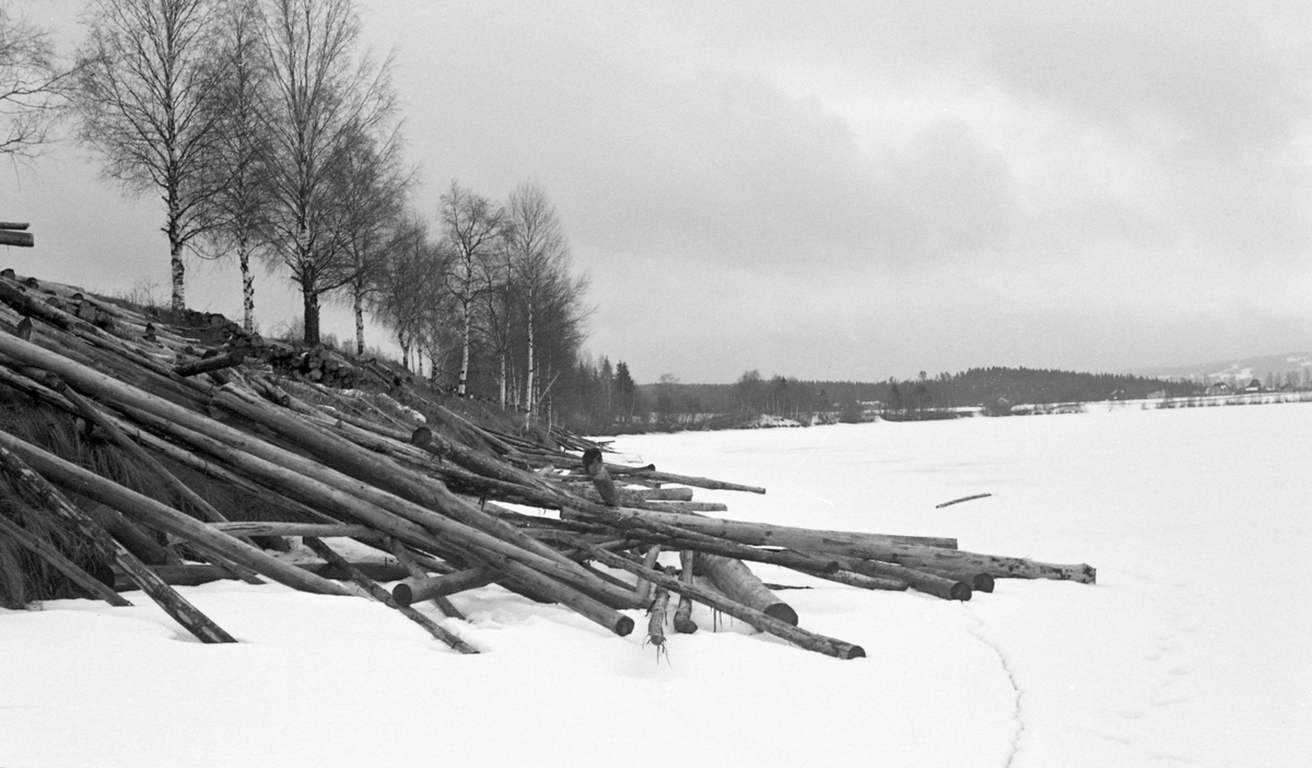 Slurvet tillagt tømmer på snø. Måtte trekkes på land før fløting.