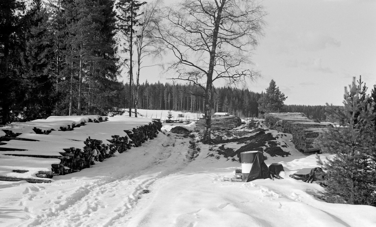 Tømmervelter - såkalte «lunnevelter» - på Vesterenga i Elverum.  Denne lokaliteten ligger på vestsida av Glomma, med elva på den ene sida og fylkesveg 505 på den andre - fire-fem kilometer sør for kommunesenteret.  Her lå detubarket, nednødd virke på venstre side og maskinbarket tømmer på høyre side.  Fotografiet et tatt en vinterdag, med snø på bakken på det åpne arealet som var i ferd med å bli et deponi for fløtingstømmer.  Det skogkledde høydedraget til venstre i bakgrunnen kalles Vindheia.

Utislagsplassen og barkeanlegget på Vesterenga ble etablert av Glommen skogeierforening og satt i drift i 1964.  To år seinere ble plassen rammet av en storflom i Glomma, som skylte vekk flere tusen kubikkmeter ubarket og umerket tømmer.  Skogeierforeningen ble i ettertid saksøkt av en av tømmerleverandørene, som mente at de som drev terminalplassen hadde vist uaktsomhet.  Skogeieren fikk medhold i herredsretten, men i lagmannsretten var det skogeierforeningen som vant fram.  I 1966 ble det dessuten inngått en avtale mellom Glommen Cellulosetømmerkjøperes forening, skogeierforeningene for regionene som soknet til Glomma- og Mjøsvassdragene og Glomma fellesfløtingsforening om at det skulle installeres barkemaskiner på flere terminalplasser.  Teknisk konsulent Carl Fredrik Lindeman i Glommen skogeierforening mente at det burde etableres slike plasser med maksimum 25 kilometers innbyrdes avstand oppover langs Glomma.  Det ble etter hvert 42 terminalplasser med barkeanlegg.  De sparte skogsarbeiderne for den manuelle barkinga, som i streng vinterkulde kostet arbeiderne mye tid og krefter.  For skogeierne innebar bruken av terminalplasser for tømmer at de slapp floring og utislag.  Terminalplassene muliggjorde dermed rasjonalisering av så vel skogsarbeid som tømmertransport.