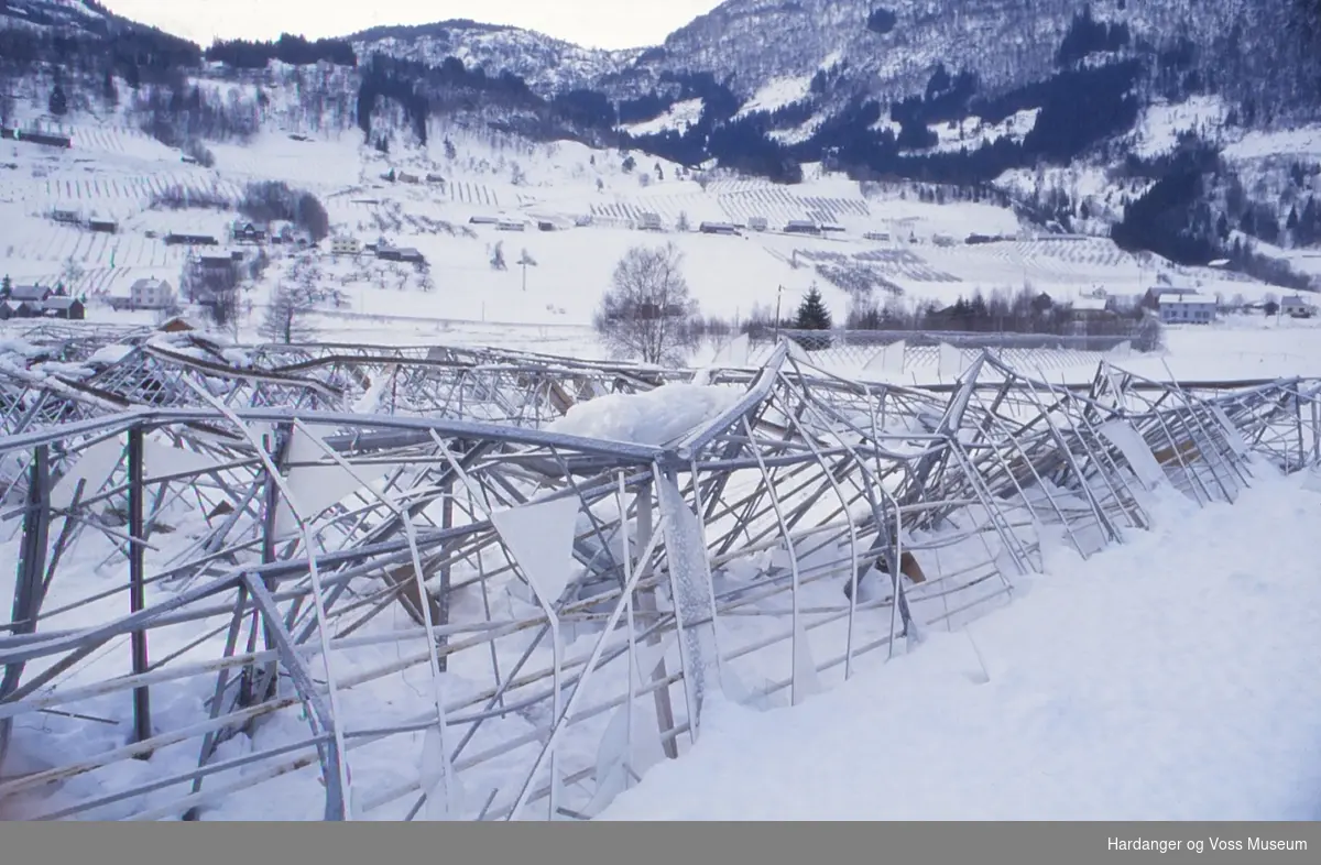 Landskapsbilete, veksthus, ødelagt av snø