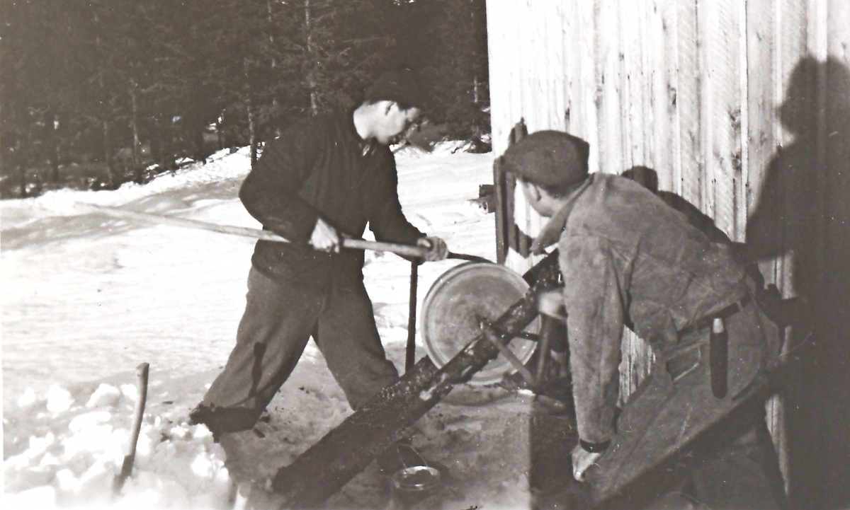 Sliping i en skogstue i Treschow-skogen. Fra venstre Aslak Dokka f. 1931 og Ivar Flogland f. 1912. Info Olav Tullerud