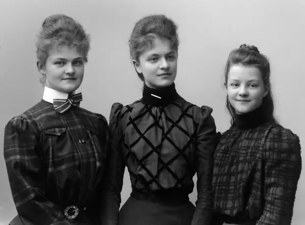 Maria Teschs samling hos Linköpings stadsbibliotek