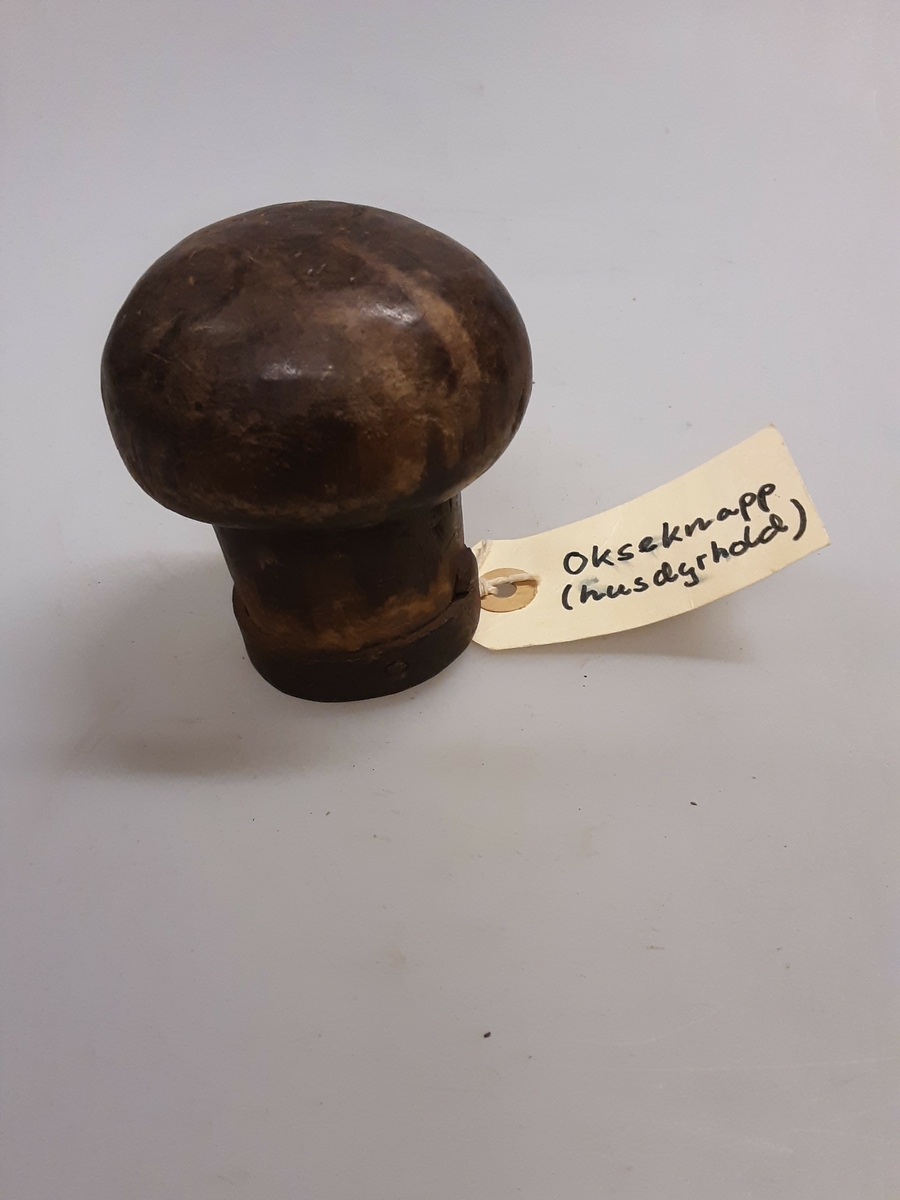 Okseknapp