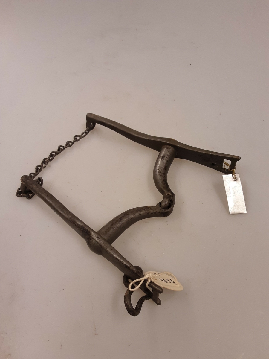 Form: Kjede, enkel
