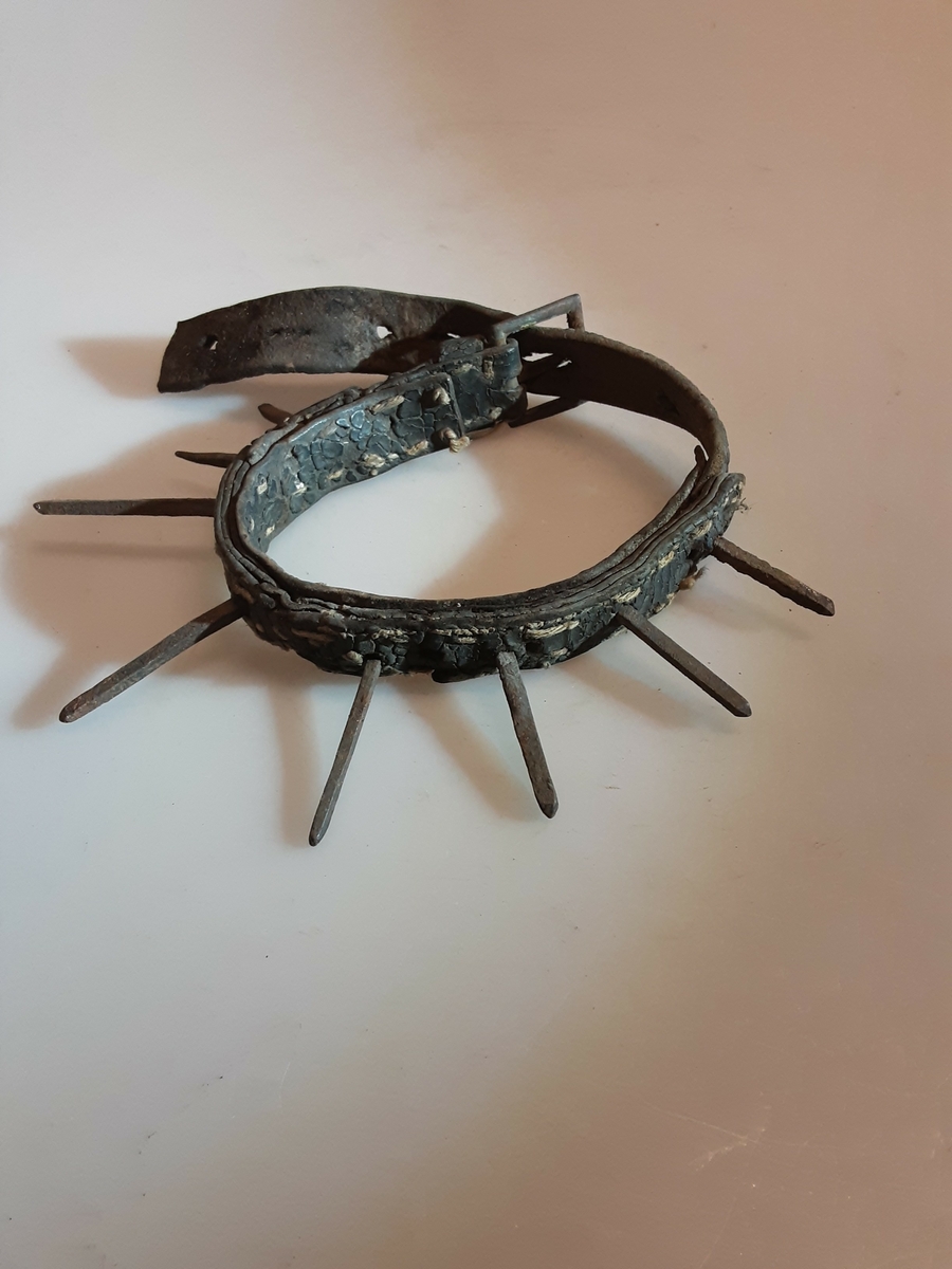 Form: 9 pigger
