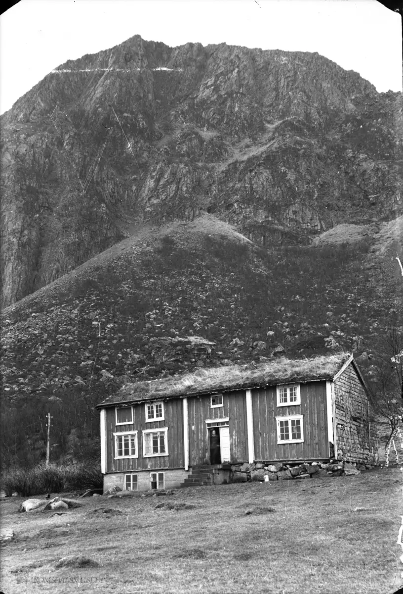 Stemshesten i bakgrunnen.