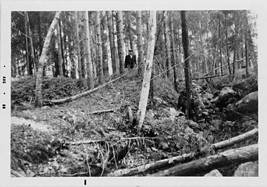 Västerfärnebo sn, Sala kn, Sörhörende.
Stångjärnshammare vid Stora Vallsjön, 1968.