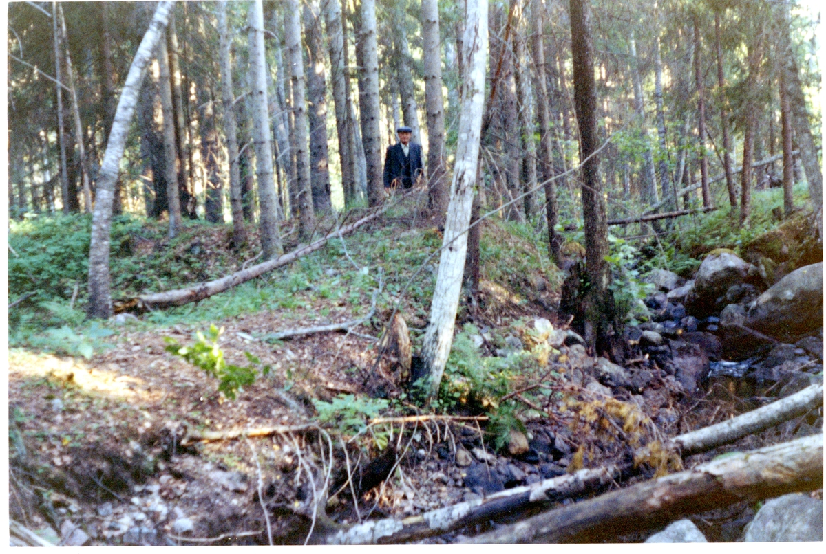 Västerfärnebo sn, Sala kn, Sörhörende.
Stångjärnshammare vid Stora Vallsjön, 1968.