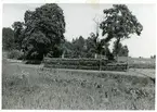 Västerfärnebo sn, Sala kn, Västerfärnebo.
Linhässja, 1933.