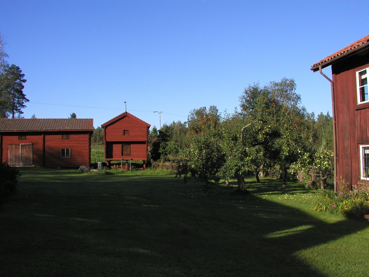 Foto i samband med besiktning av hälsingegården Kristofers i Stene by, Järvsö. Trädgård.