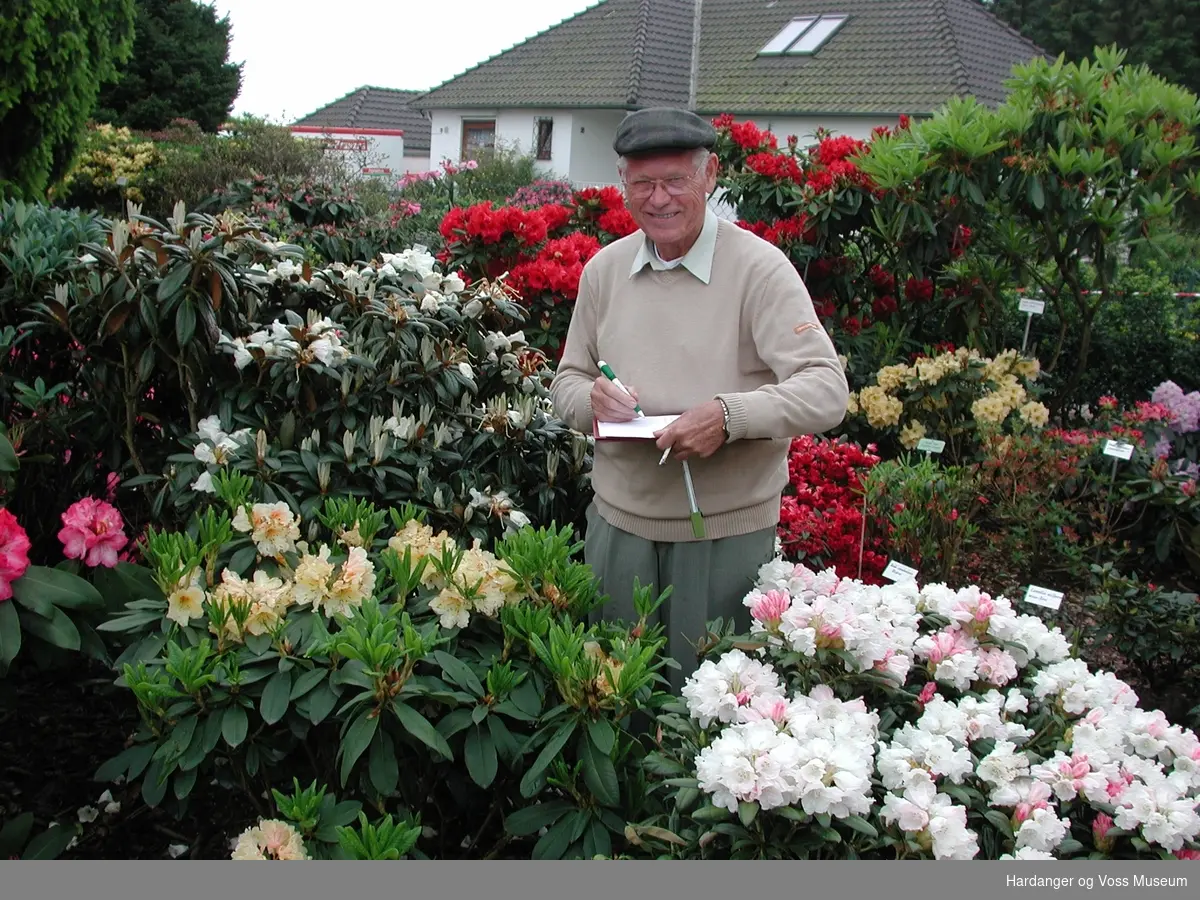 Portrett, mann i rhododendronhage