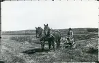 Västerfärnebo sn, Sala kn, Finnbo.
Oskar Pettersson på slåttermaskin, c:a 1915.
