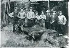 Västerfärnebo sn, Sala kn, Sörhörende.
Ol-Andersgården. Jaktlaget vid skjuten älg, 1935.