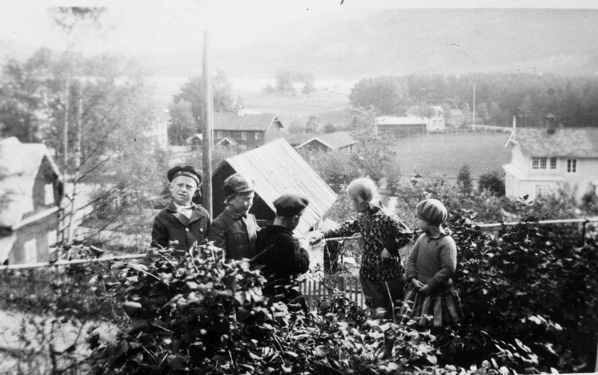 Barn med gårdsbebyggelse i bakgrunnen. Avfotografering.

Foto tatt i (Gamle) Gullnes vei 7 i Seljord, Solbergslottet etter Øystein Solbergs død.

Fra venstre:  Olav Fridtjof Solberg, ukjent, Erling Hartmann Solberg.

Barna er i selskap, kan være Olavs fødselsdag 08.08.1927.  Familien flyttet fra Seljord i denne tiden (se kommentarfelt under) 


Fotosamling etter Øystein O. Kaasa. (1877-1923).