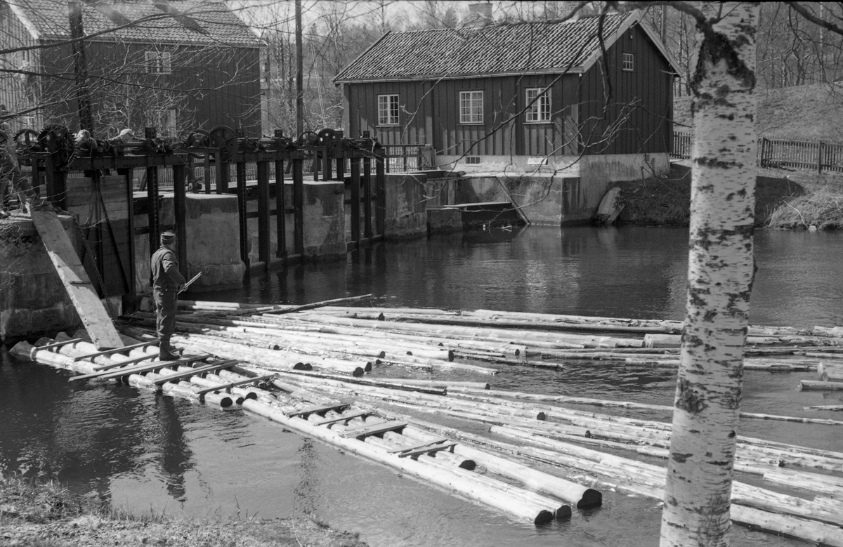 Rotnesdammen i Nitelva.  Fotografiet er tatt fra land mot en forholdsvios stor og kraftig damkonstruksjon.  I forgrunnen står en fløter med hake på en flåte og passer på at løsvirket flyter mot damåpningen.  Fra flåten er det lagt en lem, et slags skråplan, som danner oppgang til damkrona.  Dammen later til å ha tre damåpninger som justeres ved hjelp av stillverk i støpejern.  Damåpningene stenges med luker.  I bakgrunnen et par bygninger som muligens har huset virksomhet som har nyttet fossekrafta i induistrielt øyemed. 