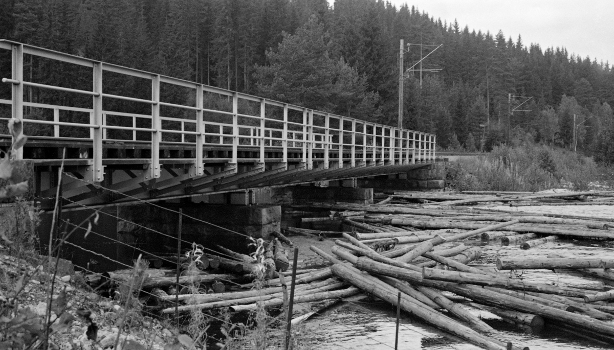 Søkketømmer mot brukarene under høstsflommen. Vingersjøene, Kongsvinger, Hedmark.