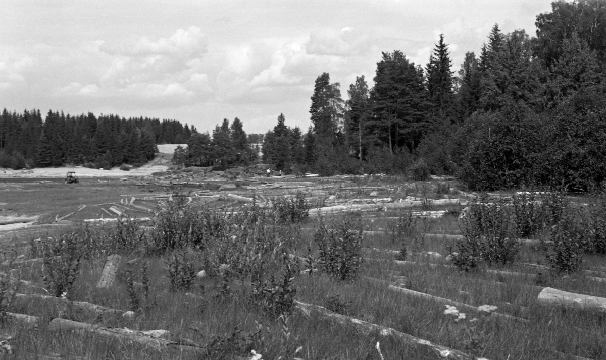 Tømmer på grasbevokst, slaktskrånende strandsone ved Glomma, nærmere bestemt ved Funnievja i Nes kommune på Øvre Romerike. Dette er antakelig fløtingsvirke som ble liggende igjen på land etter at vårflommen i vassdraget hadde kulminert. Dette problemet oppsto sannsynligvis fordi ei ledelense ikke fungerte som den skulle. Utfallet ble i hvert fall at tømmeret som hadde blitt liggende igjen på dette engarealet måtte bringes tilbake til elveløpet, slik at det kunne flyte videre mot lenseanleggene lengre nede i vassdraget. Til venstre i bildet skimter vi en traktor som ble brukt under landrensken.