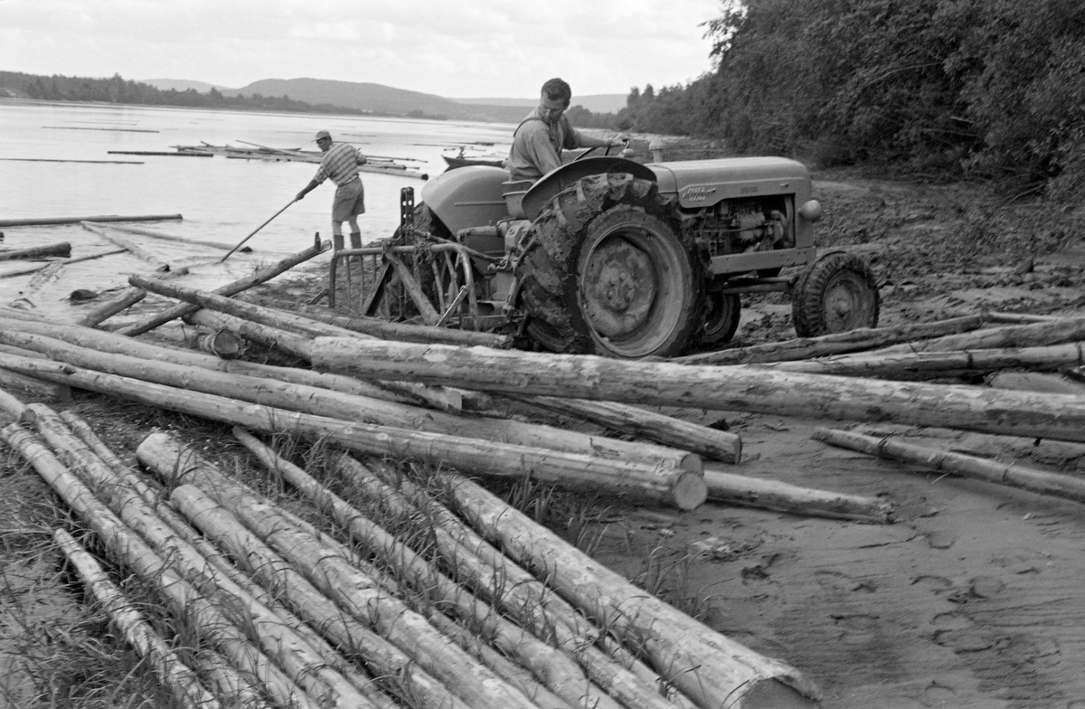 Landrensk ved Funnievja i Nes kommune på Øvre Romerike sommeren 1959. Under vårflommen hadde mye tømmer, antakelig fordi ei viktig ledelense ikke var lagt som den skulle, drevet inn i denne evja, der stokkene ble liggende på et engareal da vannstanden sank. Tømmeret måtte transporteres tilbake til elveløpet, slik at det kunne flyte videre nedover mot nedenforliggende lenseanlegg. Det vanlige hadde vært at slikt arbeid ble gjort manuelt. Her forsøkte man i stedet å bruke en traktor med bakmontert steinsvans, Tømmeret ser ut til å ha vært slipvirke, altså et sortiment som skulle bli papirråstoff.