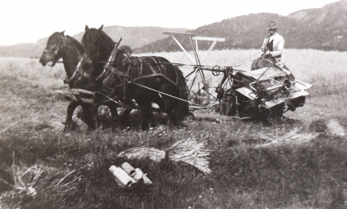 Sjølbinder med Johan Aannestad f. 1895. Første sjølbinderen kom til bygda i 1912