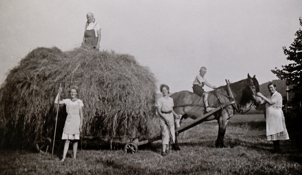 Høykjøring på gården Mellem Skinnes. Sigrid f. 1890, Rannveig f. 1916, Marit f. 1919, Ruth Helene f. 1924, Dagfinn f. 1929.