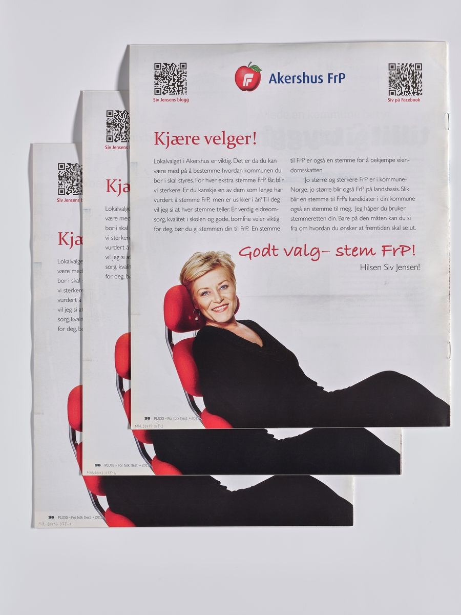 Foto av kvinnelige partimedlemmer på en strand og portretter av kandidater