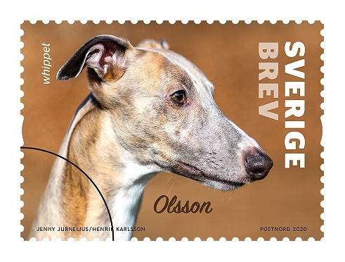 Frimärke i rulle med fem olika motiv. Självhäftande frimärken med valör 11 kr. Whippet en av de fem populäraste hundraser som röstades fram av svenska folket i en tävling som arrangerades av PostNord i samarbete med Svenska Kennelklubben.