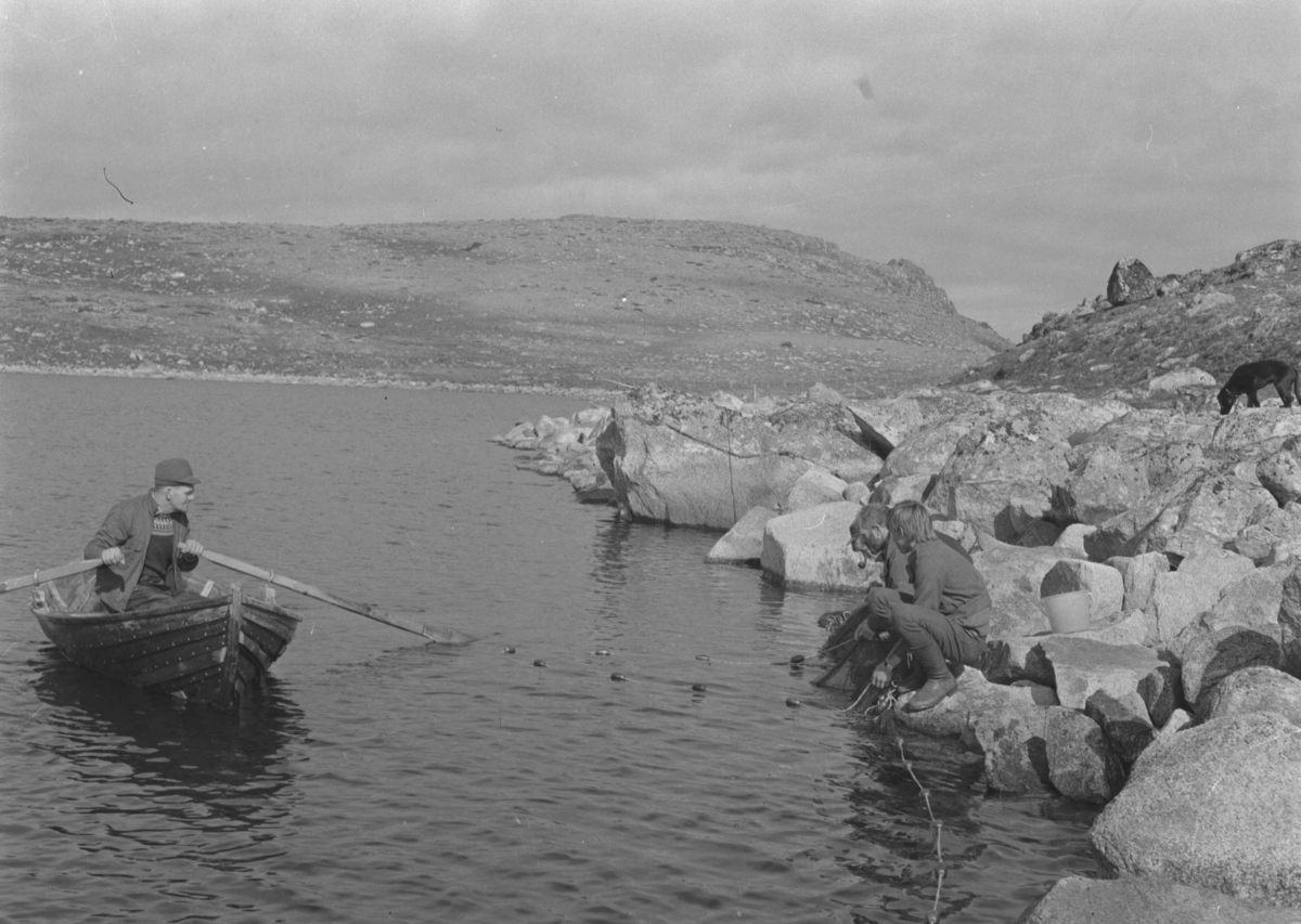 Alvdal, Kvislåtjønna, Vestfjell, Fisking fra båt med garn