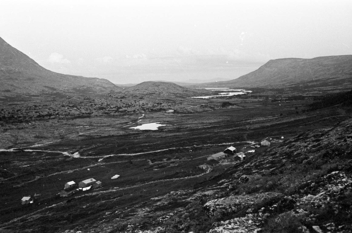 Alvdal, Flatsetrene, Vestfjell, Rundhåen, Breisjøberget i bakgrunnen, Mjovatnet