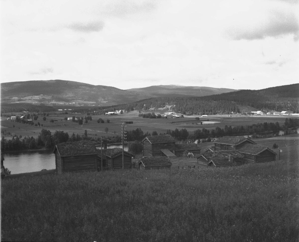 Alvdal, Husantunet, Oversiktsbilde