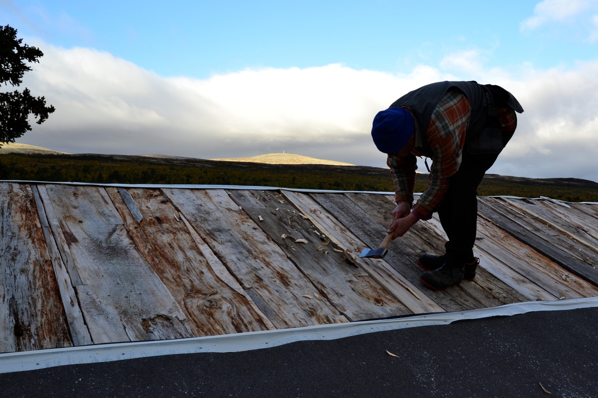 Legging av torvtak. Oddentunet
