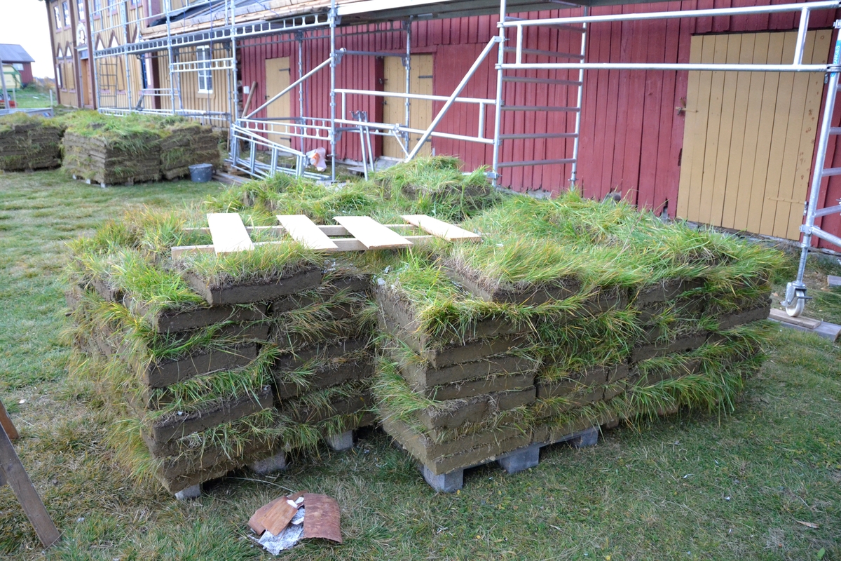 Legging av torvtak. Oddentunet