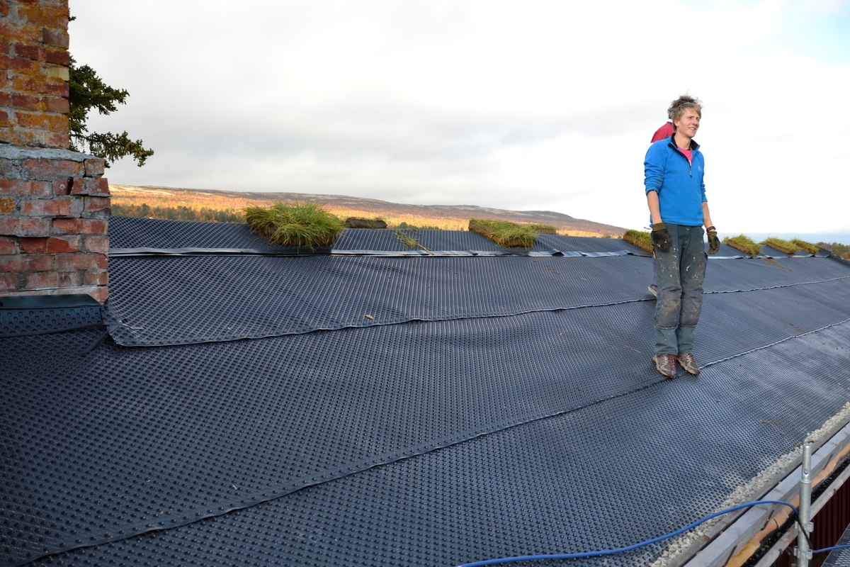 Legging av torvtak. Oddentunet