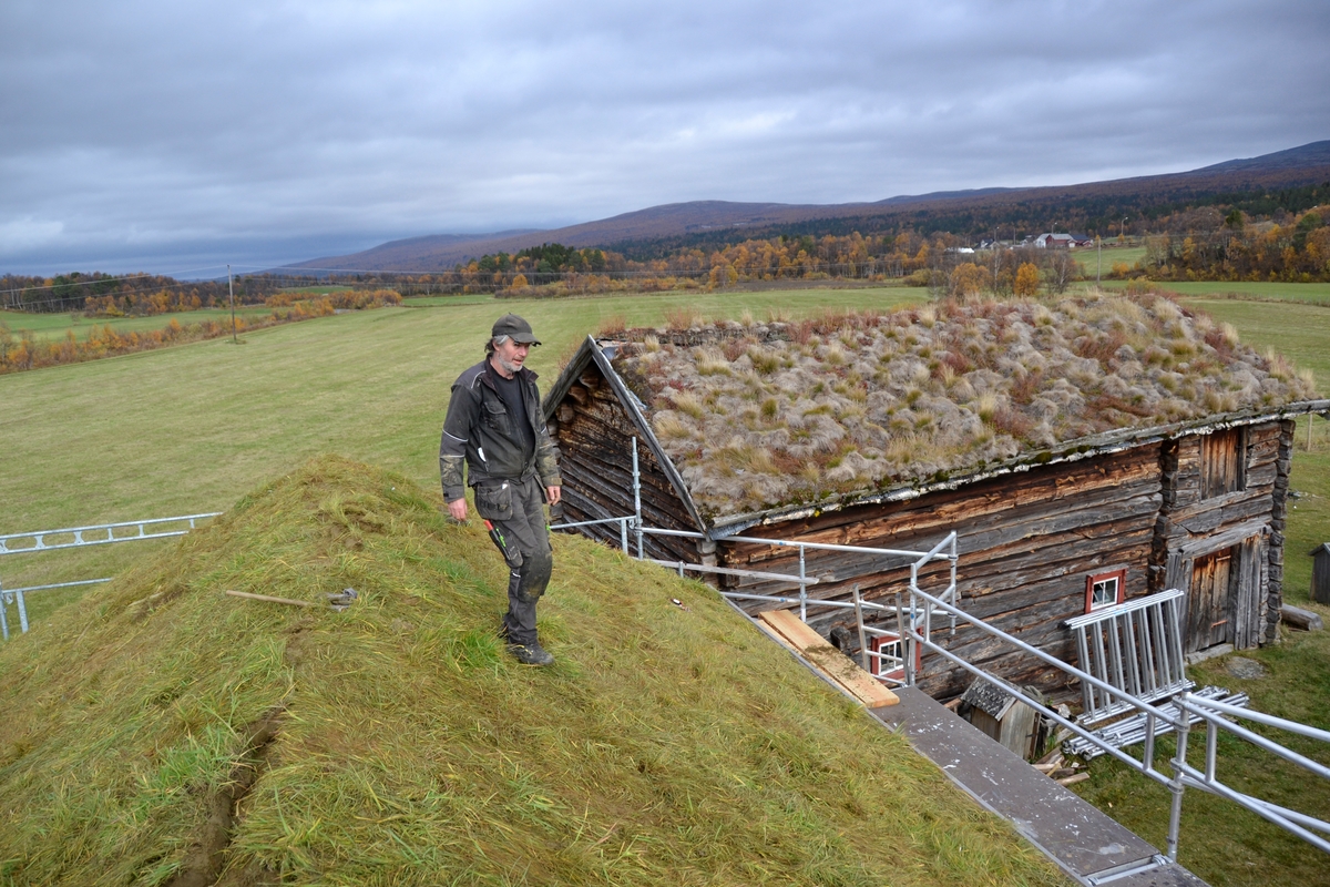 Legging av torvtak. Oddentunet