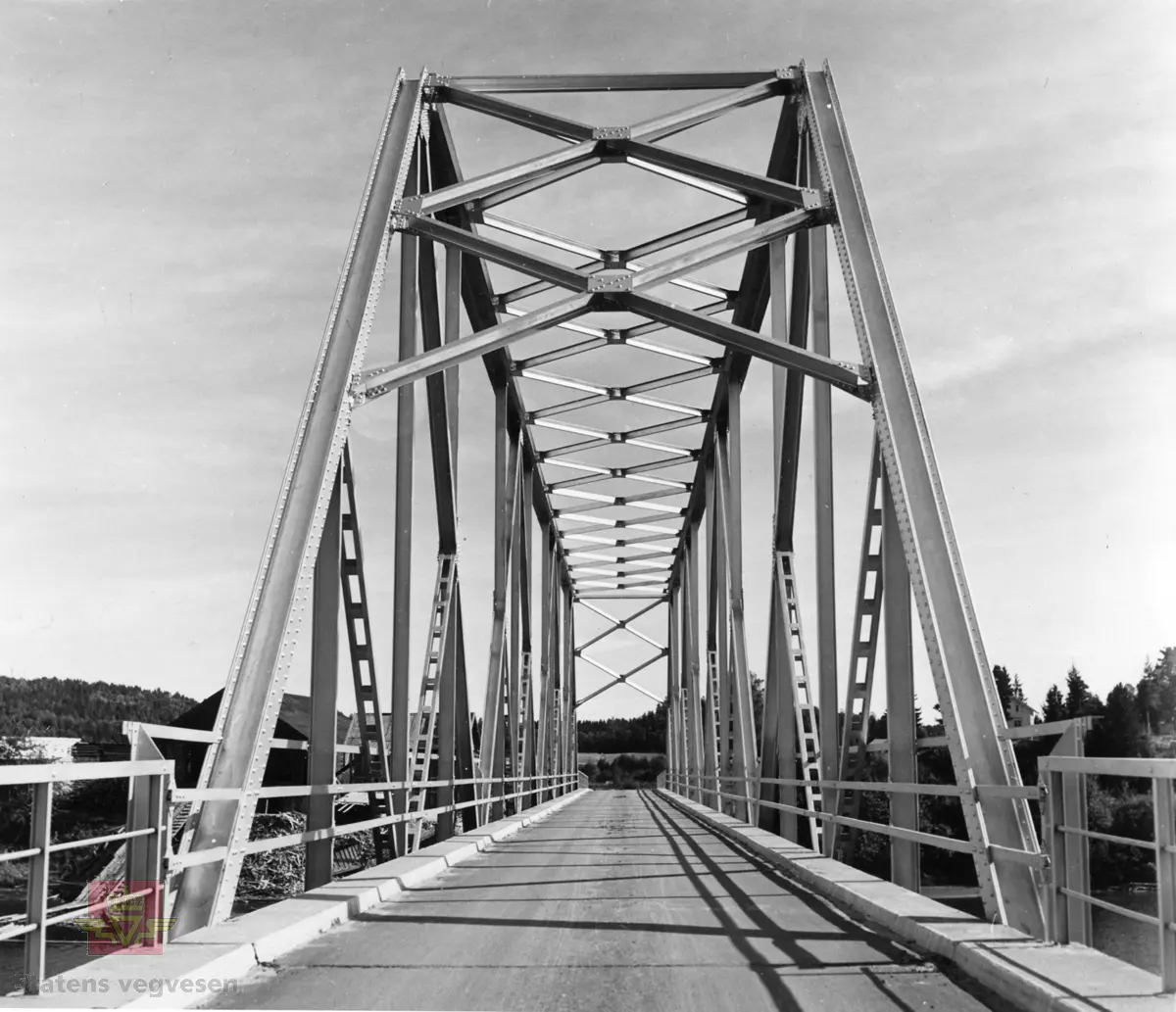 Furre bru over Nidelva, fv. 172, Arendal. Byggeår 1950. Vegbru med lengde på 124, 90 meter. 

Kilde: Statens vegvesen sitt bruregister "Brutus."