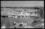 Motiv från Bohuslän ur bildsamlingen efter fotograf Carl Alfred Träff.