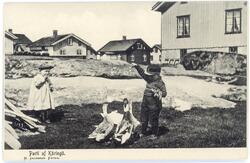 Vykort. "Parti av Käringön." 
Bröderna Martinus Martinsson o