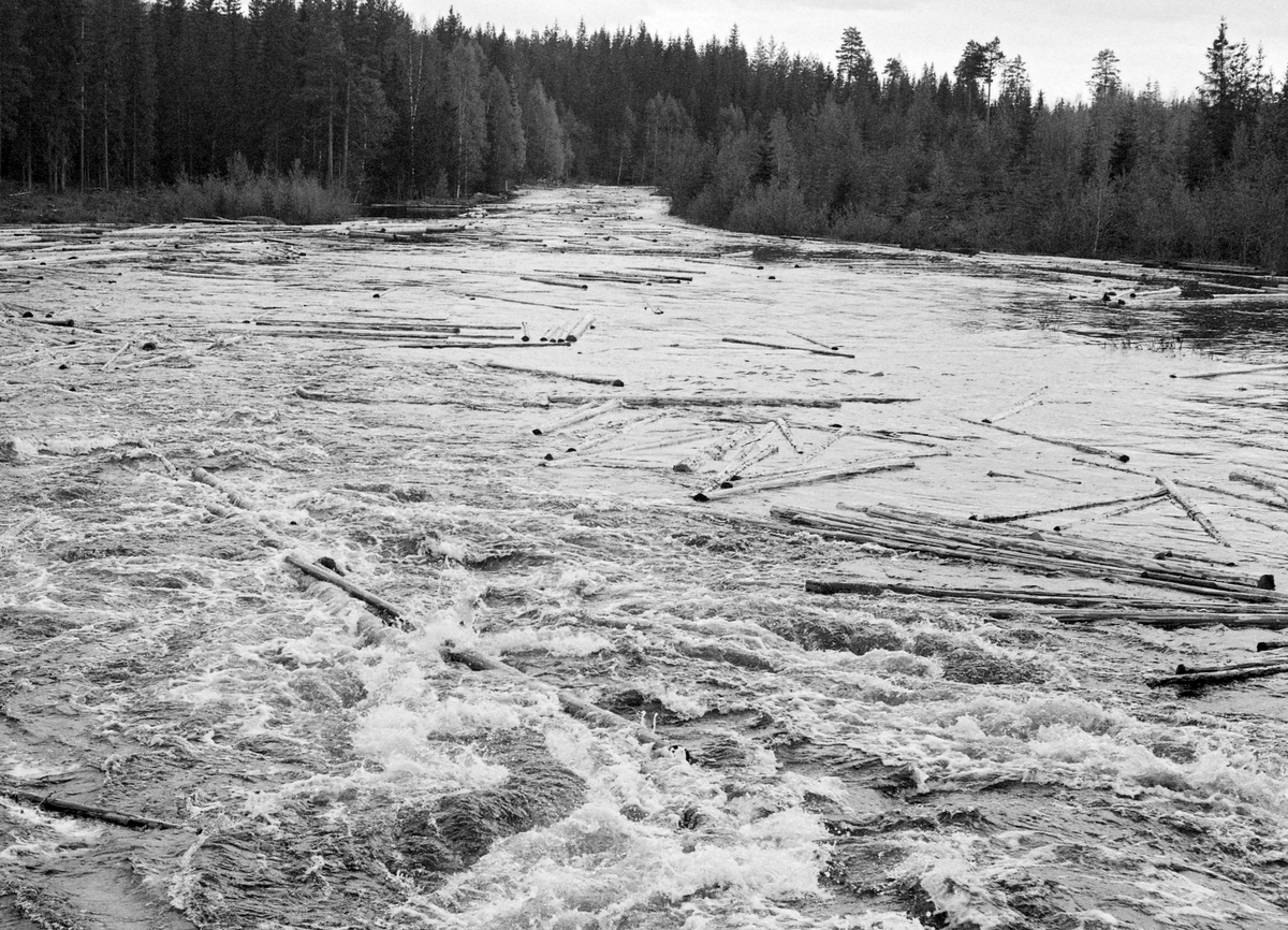 Elv med tømmer. Malungsvassdraget, Stange, Hedmark.