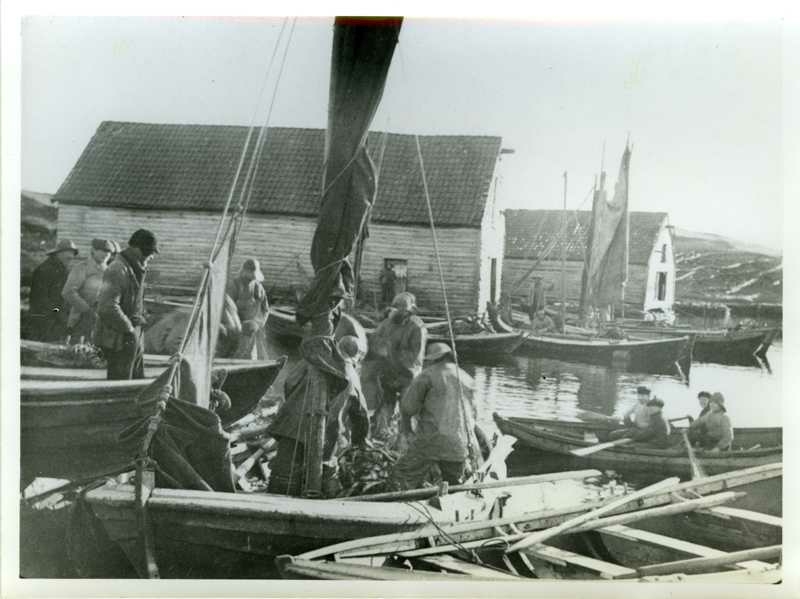 Vårsildfisket i 1890-årene