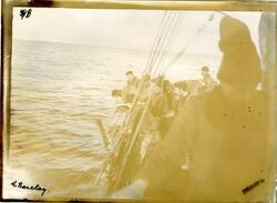 Drivgarnfiske etter sild