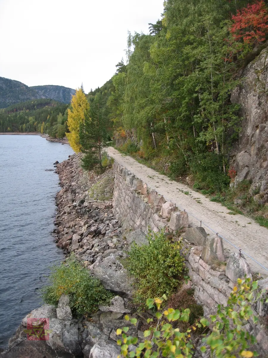 Fånefjell, bilveg fra 1923. Fredet etter kulturminnelovens § 22.a. Inngår i Fånefjell vegmiljø sammen med Postvegen fra 1842 og tunnel (rv. 9) fra 1962.

Se vedlegg lenger ned på siden Nr. 47-50 Fånefjell vegmiljø, side 68, i "Nasjonal verneplan for veger, bruer og vegrelaterte kulturminner. Statens vegvesen - Region Sør."