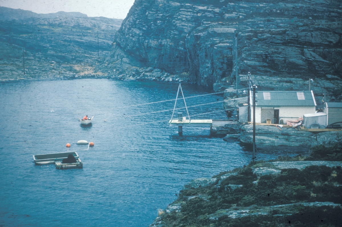 Mowi, 1983, Flogøykjølpa : Bygningene er fôrkjøkken og lager.