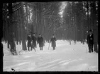 Män på promenad i skogen