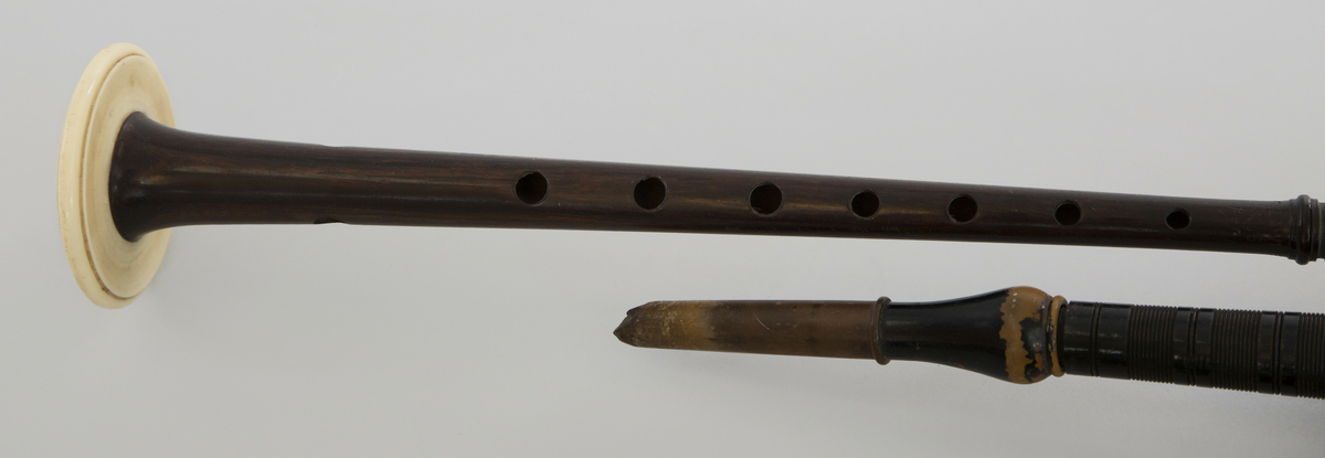 Instrument med vindsekken av skinn, trukket med skotskrutet stoff. Fire piper og ett innblåsningsrør. En skalmeie med syv hull foran og to på sidene. Skalmeien er totalt 45 cm lang og laget av mørkbrunt tre. En bordunpipe 45 cm, den andre 47,5 cm og den tredje 85 cm. Bordunpipene er i ibenholt, riflet på tvers, med sølvringer. Snor med dusk i hver ende er knytet slik at alle pipene er lenket sammen.