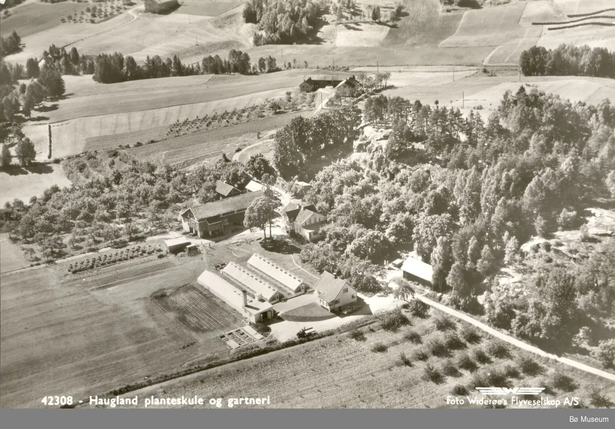 Luftfoto av Haugland-gardar