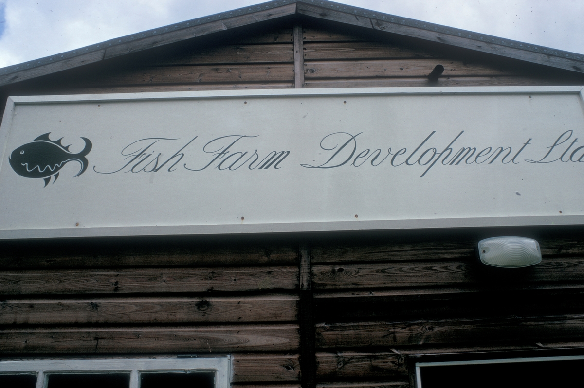 Skottland, 1975 : Skilt over hovedbygningen til "Fish farm development ltd.".