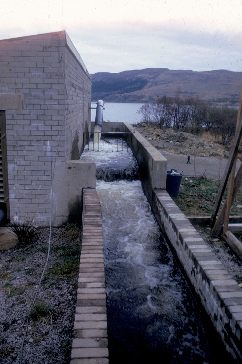 Skottland, 1975 : Pumpehus eller lignende.
