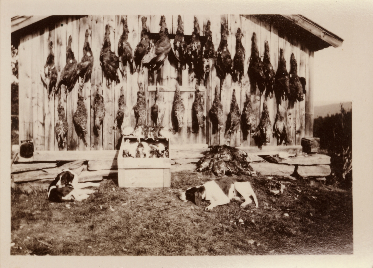 Fra Fossgruva i Rabblia 1934