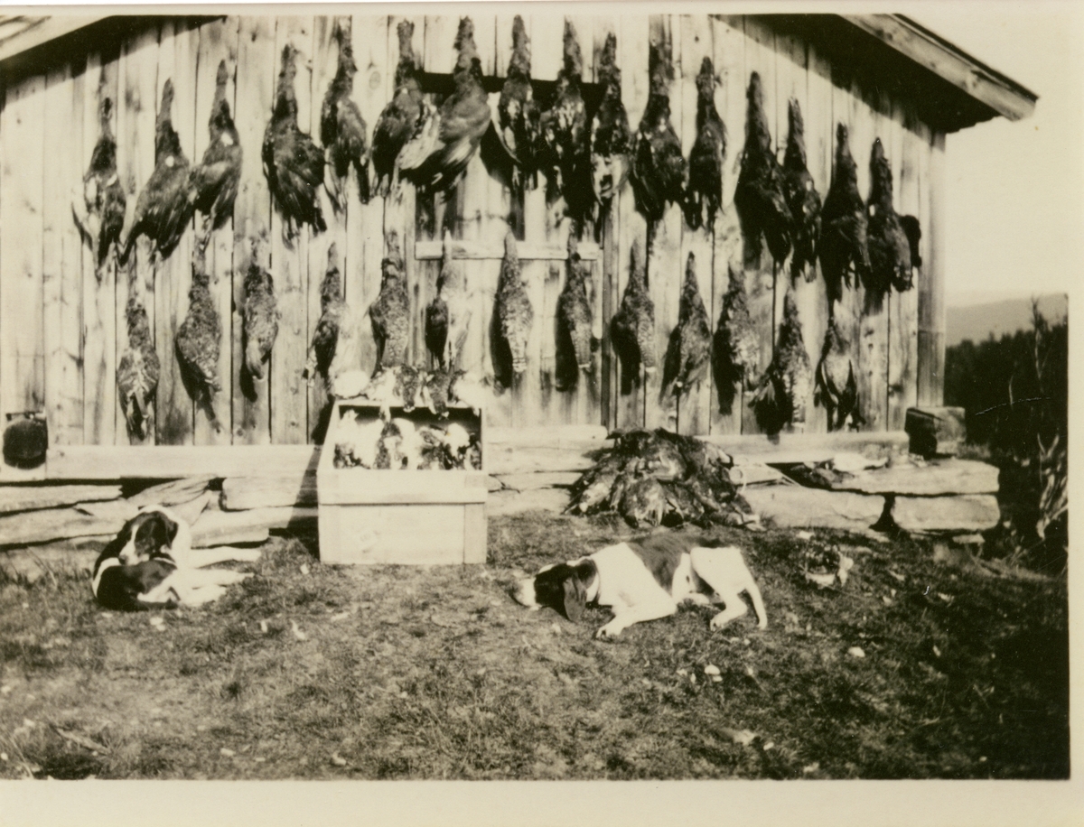 Fra Fossgruva i Rabblia 1934